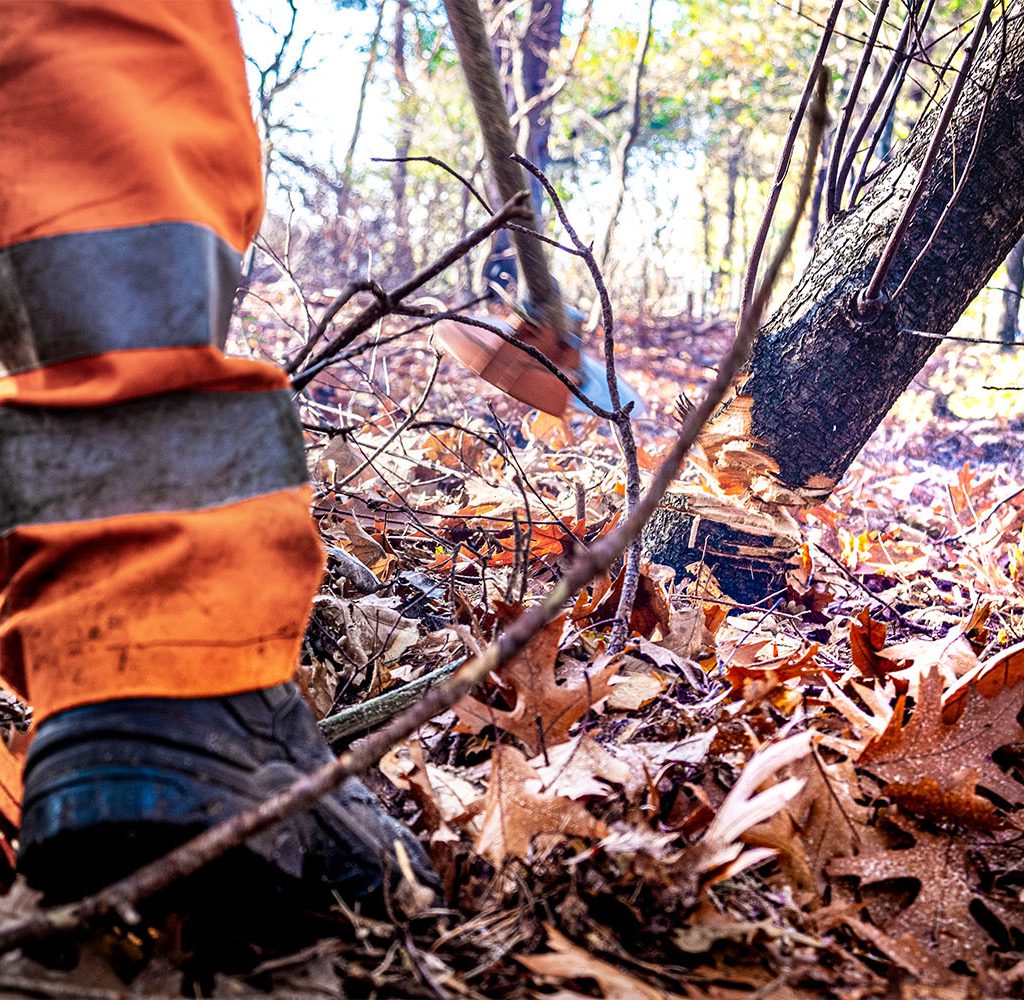 cursus wet natuurbescherming